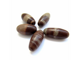 Shiva Lingam Shiva Lingam